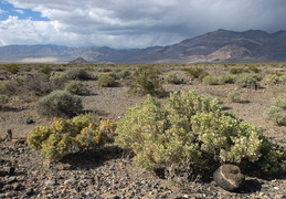 desert storms & sun